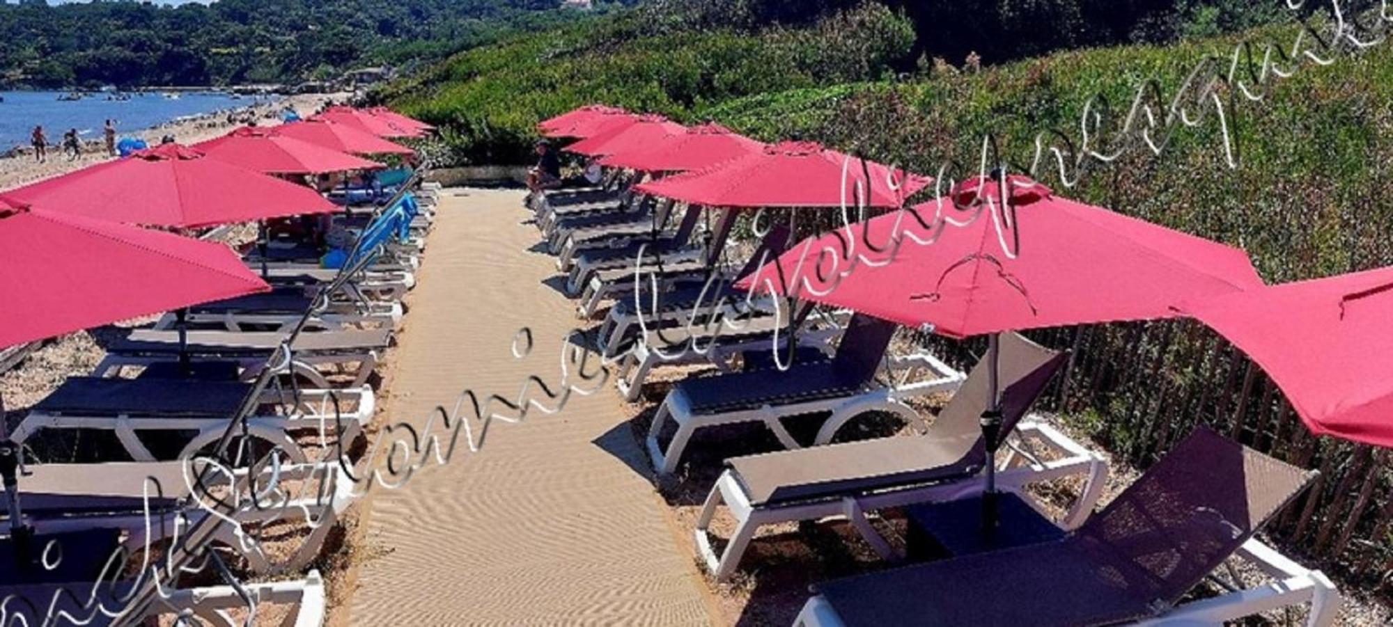 Magnifique Parc de la Presqu'île avec Piscine et Plage face à Porquerolles ! Hyères Exterior foto