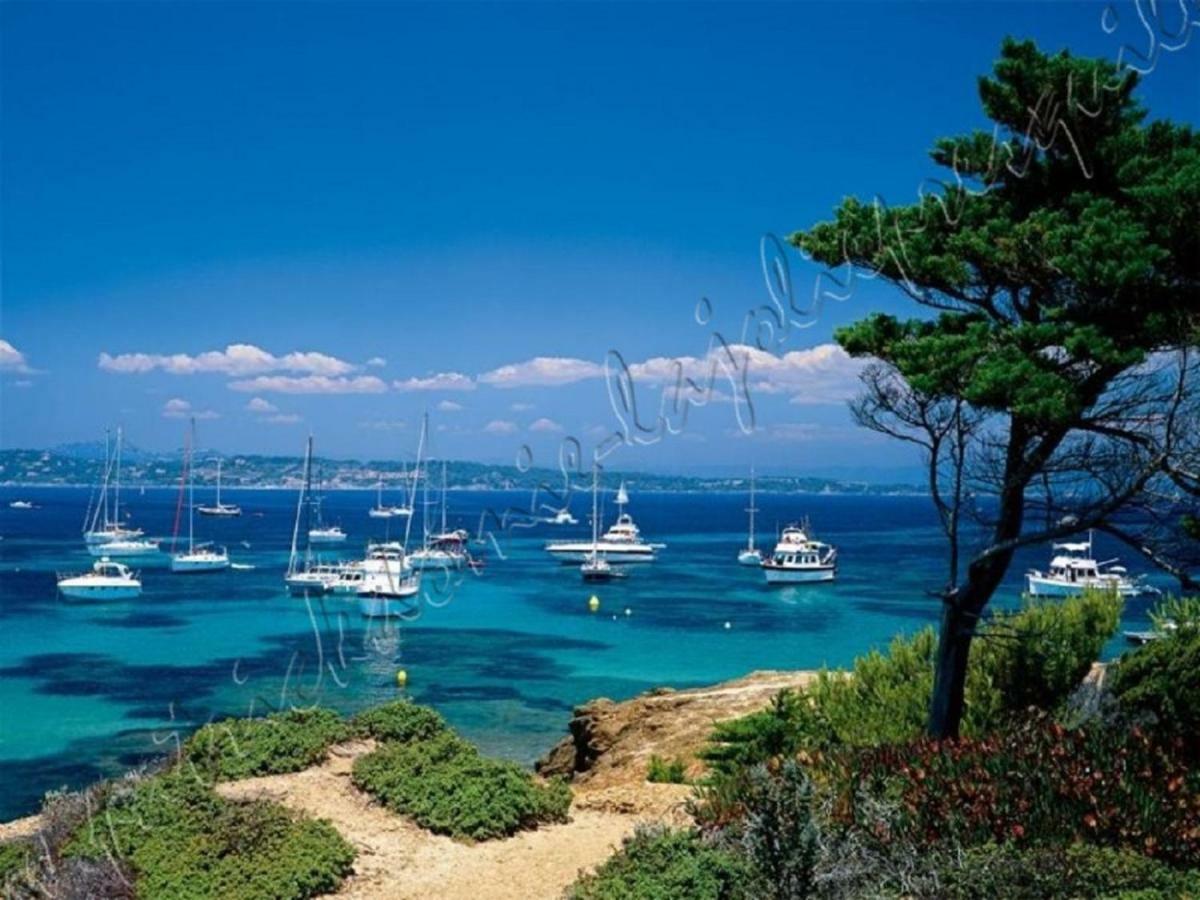 Magnifique Parc de la Presqu'île avec Piscine et Plage face à Porquerolles ! Hyères Exterior foto