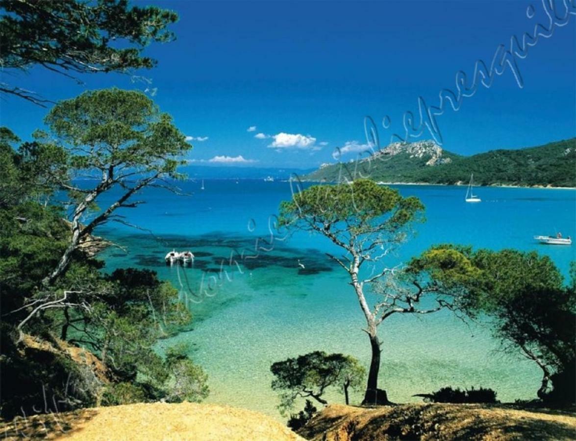 Magnifique Parc de la Presqu'île avec Piscine et Plage face à Porquerolles ! Hyères Exterior foto