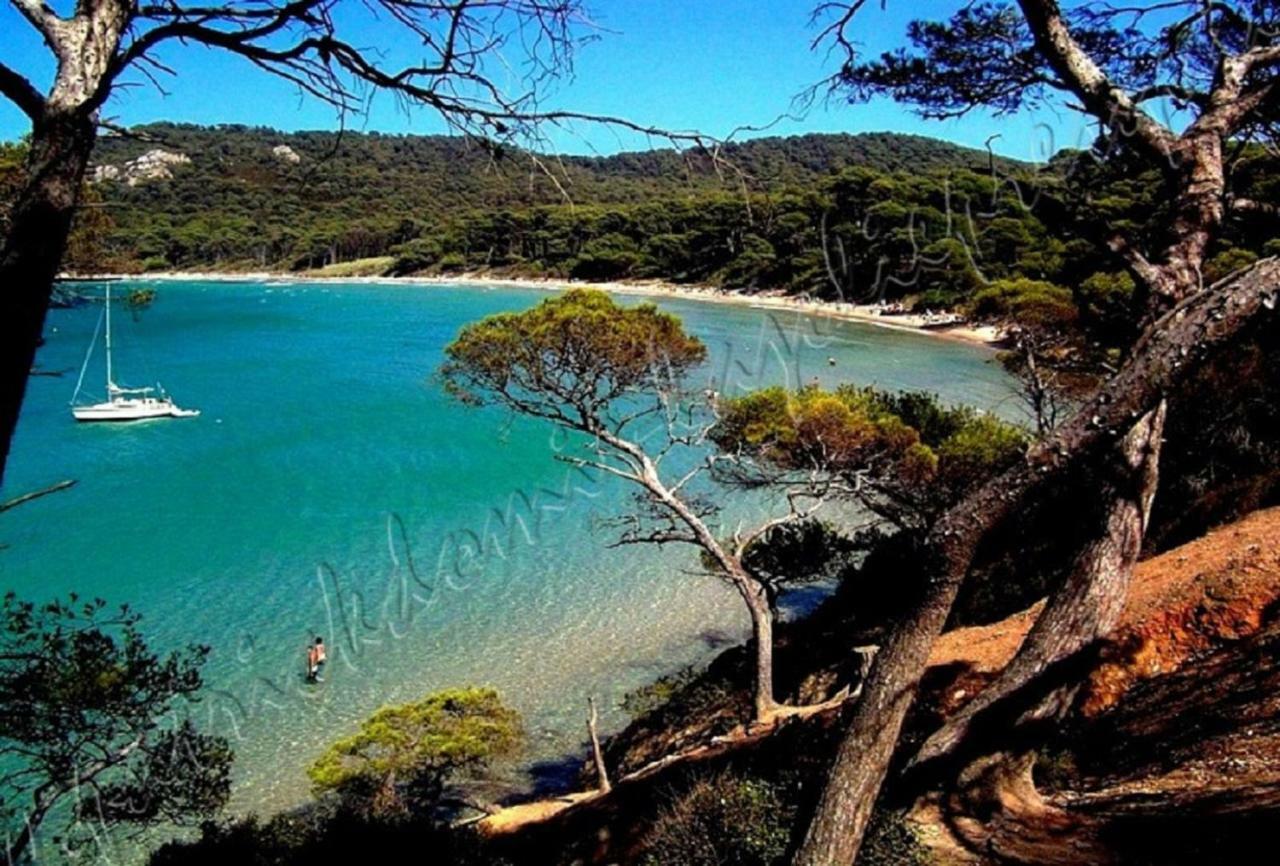 Magnifique Parc de la Presqu'île avec Piscine et Plage face à Porquerolles ! Hyères Exterior foto